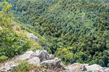 Details of the nature and natural state of the Rtanj mountain in eastern Serbia. Rtanj mountain, also known as the Serbian pyramid with rocks and vegetation. North hiking side with view clipart