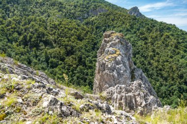 Details of the nature and natural state of the Rtanj mountain in eastern Serbia. Rtanj mountain, also known as the Serbian pyramid with rocks and vegetation. North hiking side with view clipart