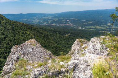 Sırbistan 'ın doğusundaki Rtanj Dağı' nın doğası ve doğal durumunun ayrıntıları. Rtanj Dağı, kayalar ve bitki örtüsüyle Sırp piramidi olarak da bilinir. Manzaralı kuzey yamacı