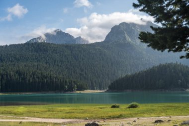 Karadağ 'ın Zabljak kentindeki Ulusal Park Durmitor kentinde turkuaz su ve ağaçlarla güzel Kara Göl (Crno jezero) manzarası. Manzaralı doğa manzarası