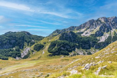 Durmitor Ulusal Parkı 'nda muhteşem bir yaz günü. Zabljak köyü, Karadağ, Balkanlar, Avrupa. Popüler seyahat merkezinin manzaralı görüntüsü. Toprağın güzelliğini keşfedin. Doğa yürüyüşü hedefi