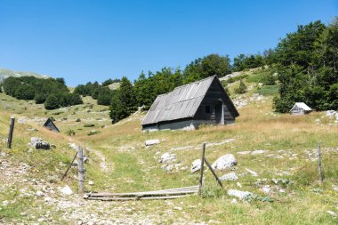 Durmitor Ulusal Parkı 'nda muhteşem bir yaz günü. Zabljak köyü, Karadağ, Balkanlar, Avrupa. Popüler seyahat merkezinin manzaralı görüntüsü. Toprağın güzelliğini keşfedin. Doğa yürüyüşü hedefi