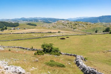 Durmitor Ulusal Parkı 'nda muhteşem bir yaz günü. Zabljak köyü, Karadağ, Balkanlar, Avrupa. Popüler seyahat merkezinin manzaralı görüntüsü. Toprağın güzelliğini keşfedin. Doğa yürüyüşü hedefi