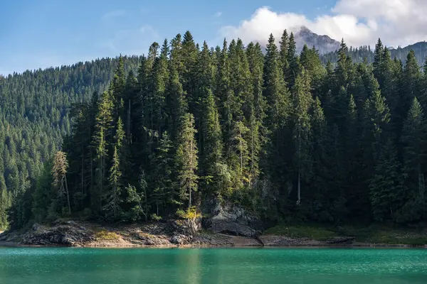 Karadağ 'ın Zabljak kentindeki Ulusal Park Durmitor kentinde turkuaz su ve ağaçlarla güzel Kara Göl (Crno jezero) manzarası. Manzaralı doğa manzarası