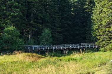 Durmitor Ulusal Parkı 'nda muhteşem bir yaz günü. Zabljak köyü, Karadağ, Balkanlar, Avrupa. Popüler seyahat merkezinin manzaralı görüntüsü. Toprağın güzelliğini keşfedin. Doğa yürüyüşü hedefi