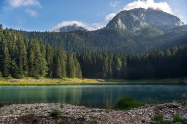 Karadağ 'ın Zabljak kentindeki Ulusal Park Durmitor kentinde turkuaz su ve ağaçlarla güzel Kara Göl (Crno jezero) manzarası. Manzaralı doğa manzarası