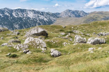 Durmitor Ulusal Parkı 'nda muhteşem bir yaz günü. Zabljak köyü, Karadağ, Balkanlar, Avrupa. Popüler seyahat merkezinin manzaralı görüntüsü. Toprağın güzelliğini keşfedin. Doğa yürüyüşü hedefi