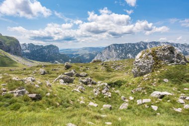 Durmitor Ulusal Parkı 'nda muhteşem bir yaz günü. Zabljak köyü, Karadağ, Balkanlar, Avrupa. Popüler seyahat merkezinin manzaralı görüntüsü. Toprağın güzelliğini keşfedin. Doğa yürüyüşü hedefi