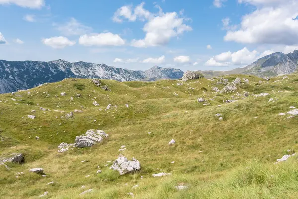 Durmitor Ulusal Parkı 'nda muhteşem bir yaz günü. Zabljak köyü, Karadağ, Balkanlar, Avrupa. Popüler seyahat merkezinin manzaralı görüntüsü. Toprağın güzelliğini keşfedin. Doğa yürüyüşü hedefi