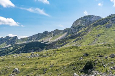 Durmitor Ulusal Parkı 'nda muhteşem bir yaz günü. Zabljak köyü, Karadağ, Balkanlar, Avrupa. Popüler seyahat merkezinin manzaralı görüntüsü. Toprağın güzelliğini keşfedin. Doğa yürüyüşü hedefi