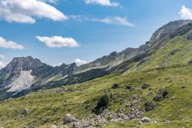 Durmitor Ulusal Parkı 'nda muhteşem bir yaz günü. Zabljak köyü, Karadağ, Balkanlar, Avrupa. Popüler seyahat merkezinin manzaralı görüntüsü. Toprağın güzelliğini keşfedin. Doğa yürüyüşü hedefi