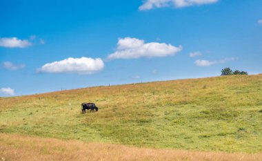 Durmitor Ulusal Parkı 'nda muhteşem bir yaz günü. Zabljak köyü, Karadağ, Balkanlar, Avrupa. Popüler seyahat merkezinin manzaralı görüntüsü. Toprağın güzelliğini keşfedin. Doğa yürüyüşü hedefi