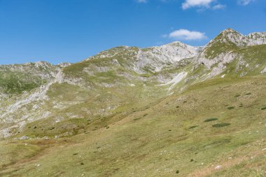 Durmitor Ulusal Parkı 'nda muhteşem bir yaz günü. Zabljak köyü, Karadağ, Balkanlar, Avrupa. Popüler seyahat merkezinin manzaralı görüntüsü. Toprağın güzelliğini keşfedin. Doğa yürüyüşü hedefi