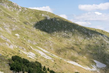 Durmitor Ulusal Parkı 'nda muhteşem bir yaz günü. Zabljak köyü, Karadağ, Balkanlar, Avrupa. Popüler seyahat merkezinin manzaralı görüntüsü. Toprağın güzelliğini keşfedin. Doğa yürüyüşü hedefi