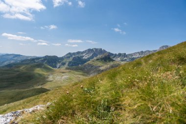 Durmitor Ulusal Parkı 'nda muhteşem bir yaz günü. Zabljak köyü, Karadağ, Balkanlar, Avrupa. Popüler seyahat merkezinin manzaralı görüntüsü. Toprağın güzelliğini keşfedin. Doğa yürüyüşü hedefi