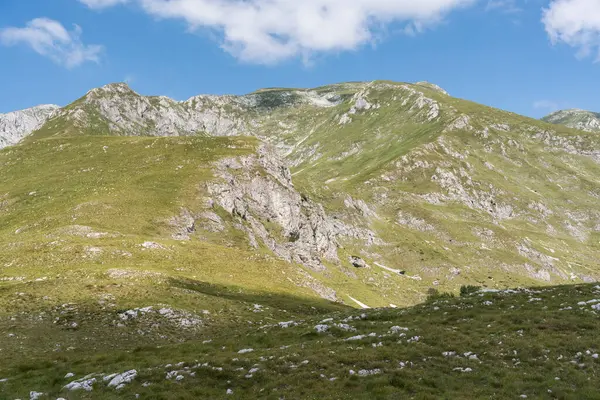 Durmitor Ulusal Parkı 'nda muhteşem bir yaz günü. Zabljak köyü, Karadağ, Balkanlar, Avrupa. Popüler seyahat merkezinin manzaralı görüntüsü. Toprağın güzelliğini keşfedin. Doğa yürüyüşü hedefi