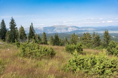 Durmitor Ulusal Parkı 'nda muhteşem bir yaz günü. Zabljak köyü, Karadağ, Balkanlar, Avrupa. Popüler seyahat merkezinin manzaralı görüntüsü. Toprağın güzelliğini keşfedin. Doğa yürüyüşü hedefi