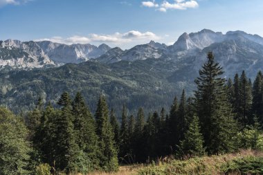 Durmitor Ulusal Parkı 'nda muhteşem bir yaz günü. Zabljak köyü, Karadağ, Balkanlar, Avrupa. Popüler seyahat merkezinin manzaralı görüntüsü. Toprağın güzelliğini keşfedin. Doğa yürüyüşü hedefi