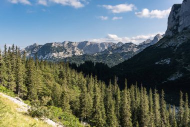Durmitor Ulusal Parkı 'nda muhteşem bir yaz günü. Zabljak köyü, Karadağ, Balkanlar, Avrupa. Popüler seyahat merkezinin manzaralı görüntüsü. Toprağın güzelliğini keşfedin. Doğa yürüyüşü hedefi