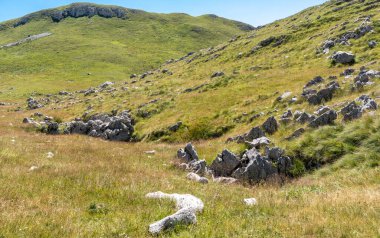 Durmitor Ulusal Parkı 'nda muhteşem bir yaz günü. Zabljak köyü, Karadağ, Balkanlar, Avrupa. Popüler seyahat merkezinin manzaralı görüntüsü. Toprağın güzelliğini keşfedin. Doğa yürüyüşü hedefi