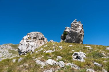 Durmitor Ulusal Parkı 'nda muhteşem bir yaz günü. Zabljak köyü, Karadağ, Balkanlar, Avrupa. Popüler seyahat merkezinin manzaralı görüntüsü. Toprağın güzelliğini keşfedin. Doğa yürüyüşü hedefi