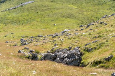 Durmitor Ulusal Parkı 'nda muhteşem bir yaz günü. Zabljak köyü, Karadağ, Balkanlar, Avrupa. Popüler seyahat merkezinin manzaralı görüntüsü. Toprağın güzelliğini keşfedin. Doğa yürüyüşü hedefi