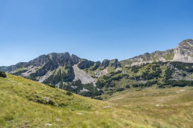 Durmitor Ulusal Parkı 'nda muhteşem bir yaz günü. Zabljak köyü, Karadağ, Balkanlar, Avrupa. Popüler seyahat merkezinin manzaralı görüntüsü. Toprağın güzelliğini keşfedin. Doğa yürüyüşü hedefi