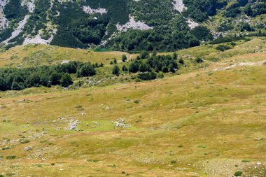 Durmitor Ulusal Parkı 'nda muhteşem bir yaz günü. Zabljak köyü, Karadağ, Balkanlar, Avrupa. Popüler seyahat merkezinin manzaralı görüntüsü. Toprağın güzelliğini keşfedin. Doğa yürüyüşü hedefi