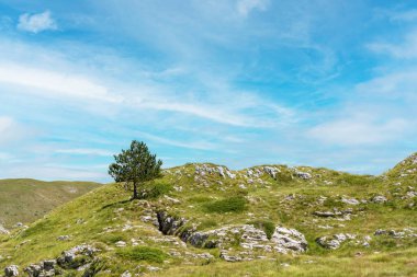 Durmitor Ulusal Parkı 'nda muhteşem bir yaz günü. Zabljak köyü, Karadağ, Balkanlar, Avrupa. Popüler seyahat merkezinin manzaralı görüntüsü. Toprağın güzelliğini keşfedin. Doğa yürüyüşü hedefi