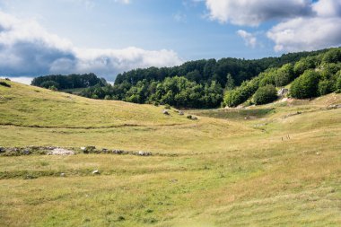 Durmitor Ulusal Parkı 'nda muhteşem bir yaz günü. Zabljak köyü, Karadağ, Balkanlar, Avrupa. Popüler seyahat merkezinin manzaralı görüntüsü. Toprağın güzelliğini keşfedin. Doğa yürüyüşü hedefi