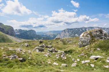 Durmitor Ulusal Parkı 'nda muhteşem bir yaz günü. Zabljak köyü, Karadağ, Balkanlar, Avrupa. Popüler seyahat merkezinin manzaralı görüntüsü. Toprağın güzelliğini keşfedin. Doğa yürüyüşü hedefi