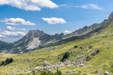 Durmitor Ulusal Parkı 'nda muhteşem bir yaz günü. Zabljak köyü, Karadağ, Balkanlar, Avrupa. Popüler seyahat merkezinin manzaralı görüntüsü. Toprağın güzelliğini keşfedin. Doğa yürüyüşü hedefi