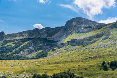 Durmitor Ulusal Parkı 'nda muhteşem bir yaz günü. Zabljak köyü, Karadağ, Balkanlar, Avrupa. Popüler seyahat merkezinin manzaralı görüntüsü. Toprağın güzelliğini keşfedin. Doğa yürüyüşü hedefi
