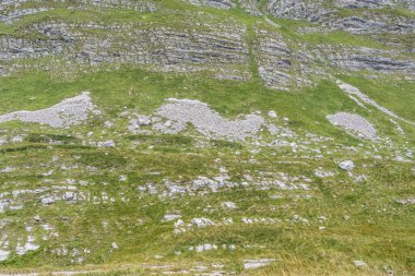 Durmitor Ulusal Parkı 'nda muhteşem bir yaz günü. Zabljak köyü, Karadağ, Balkanlar, Avrupa. Popüler seyahat merkezinin manzaralı görüntüsü. Toprağın güzelliğini keşfedin. Doğa yürüyüşü hedefi