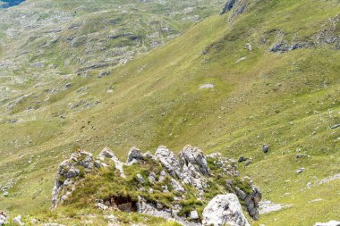 Durmitor Ulusal Parkı 'nda muhteşem bir yaz günü. Zabljak köyü, Karadağ, Balkanlar, Avrupa. Popüler seyahat merkezinin manzaralı görüntüsü. Toprağın güzelliğini keşfedin. Doğa yürüyüşü hedefi