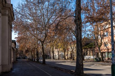 04 Ocak 2024, Novi Sad, Sırbistan. Sırbistan 'ın Novi Sad kentinin şenlikli atmosferi, tatil neşesi, canlı dekorasyonlar, binalar ve insanlarla canlanıyor. Düzenleyici resim