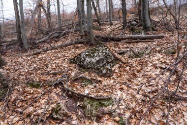 Şubatta Rtanj Dağı 'nda. Sırp dağı ve doğa, kışın yürüyüş yolları var. Rtanj, Sırbistan.