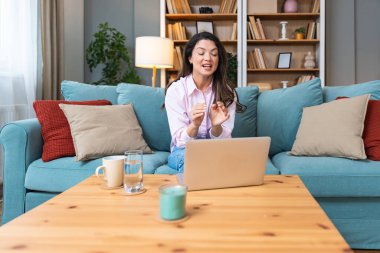 Genç serbest çalışan bir iş kadını dizüstü bilgisayarında video konferansına katılıyor ve evde çalışıyor, projesinde potansiyel yatırımcıyla web kamerasında konuşuyor. Maliye ve ekonomi kavramı.