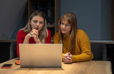 Şarap imalathanesinde pazarlama stratejisi üzerinde çalışan iki profesyonel iş kadını, laptopa odaklanmış, pozitif enerji, markalaşma fikirleri ve üzüm bağı görselleri ile çevrili..