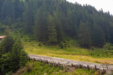 Transfagarasan Fagaras yazın geçer. Romanya 'daki Karpatlar' ı aşan Transfagarasan, dünyadaki muhteşem dağ yolları. Yürüyüş ve tırmanma rotası, ünlü bir yer..