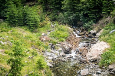 Transfagarasan Fagaras yazın geçer. Romanya 'daki Karpatlar' ı aşan Transfagarasan, dünyadaki muhteşem dağ yolları. Yürüyüş ve tırmanma rotası, ünlü bir yer..