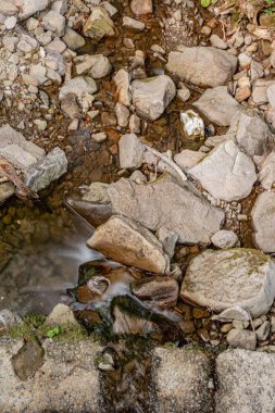 Small stream in the middle of the woods