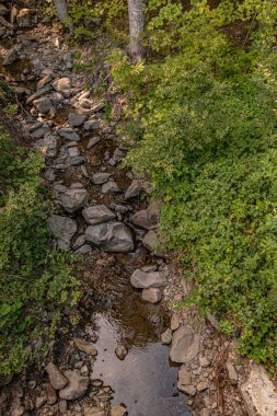 Small stream in the middle of the woods