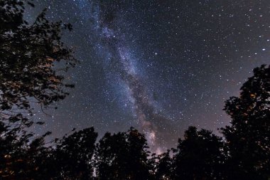 Starry sky and milky way seen from the woods