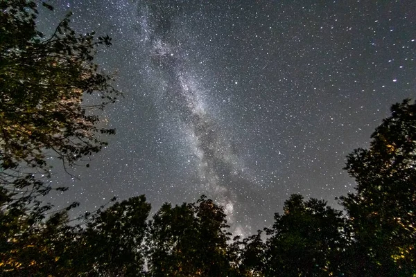 Starry sky and milky way seen from the woods