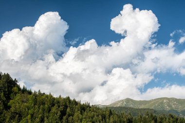 Ağaçlı ve bulutlu gökyüzü olan dağ manzarası