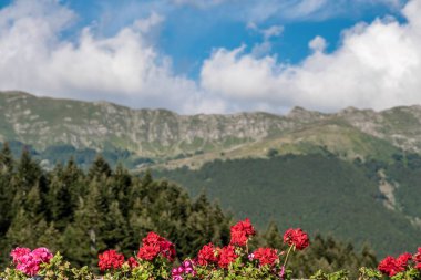 Ağaçlı ve bulutlu gökyüzü olan dağ manzarası