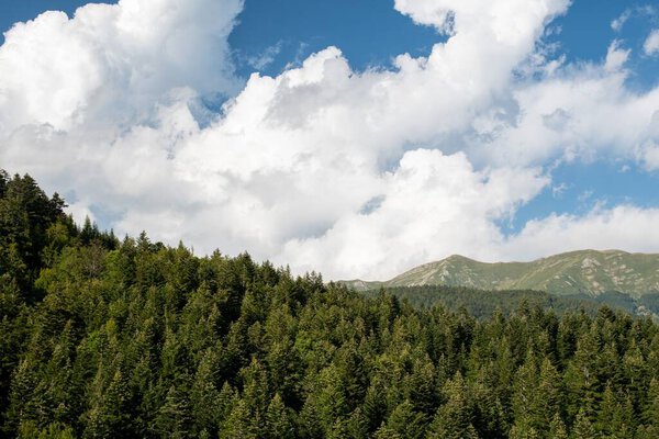 Горная панорама с деревьями и облачным небом