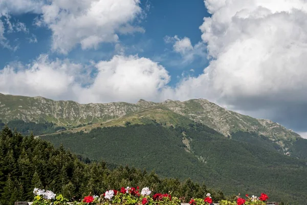 Panorama Montano Con Alberi Cielo Nuvoloso — Foto Stock