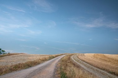 Tarlalarda yol olan kırsal alan